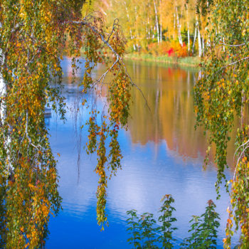 Озеро Мечты золотой осенью